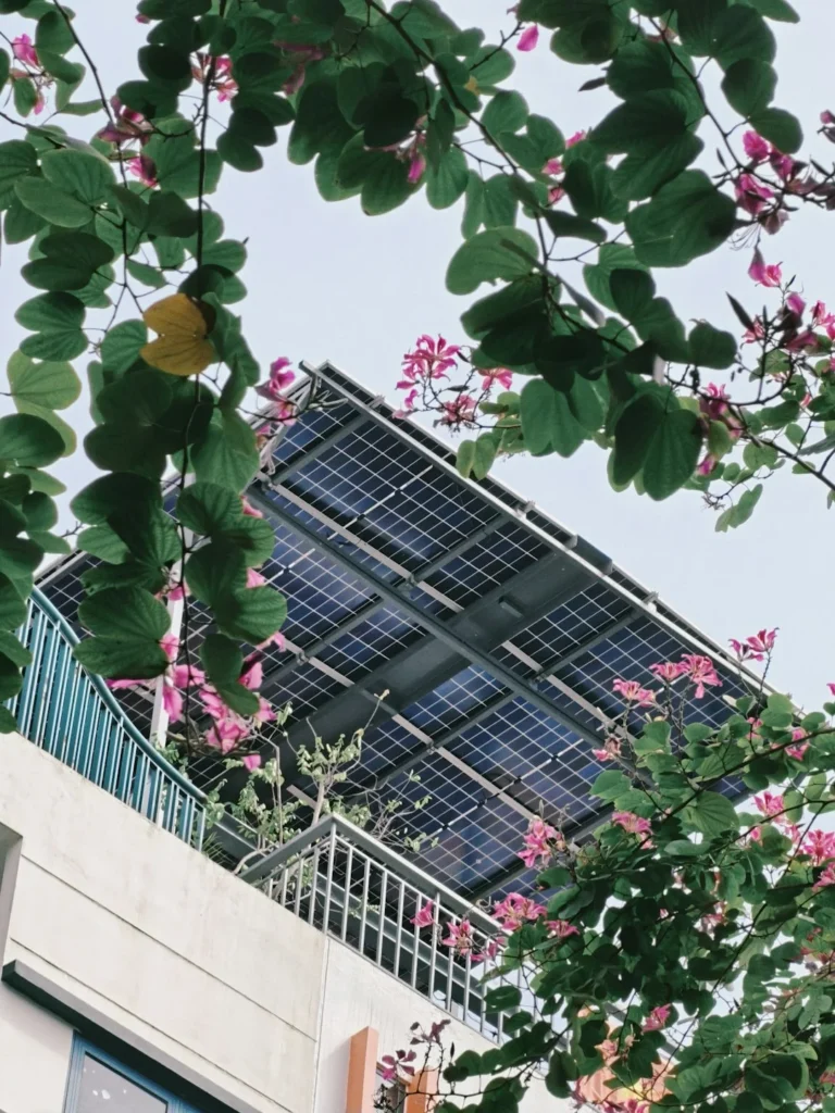 solar panels on a rooftop surrounded by pink flowers ry7nzoeiczy