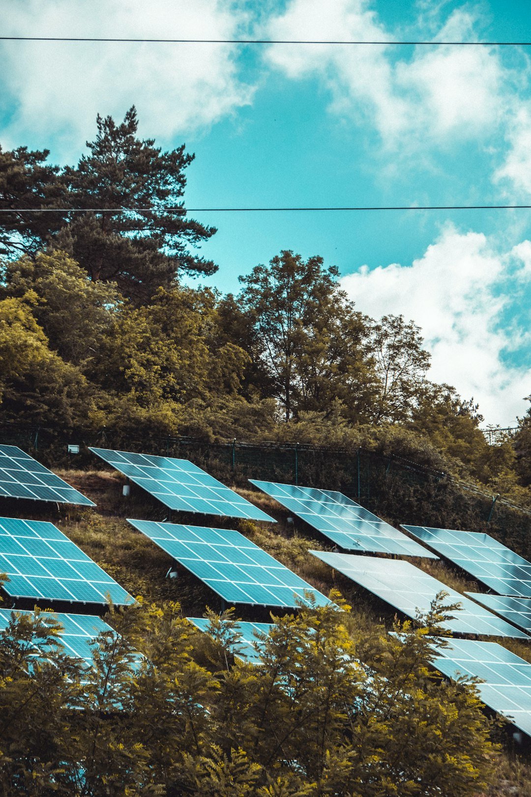 solar-panels-on-green-grass-field-gd8io0e4ozm